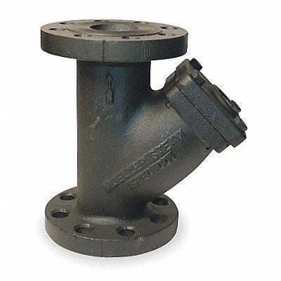 Y Strainer 304SS 6 Flanged Fiber
