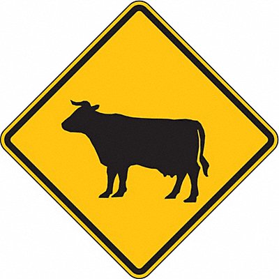 Traffic Sign 24 H 24 W Aluminum