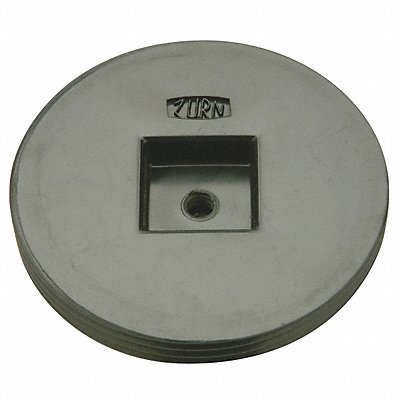 Cleanout Plug Pipe Dia 4 In ABS