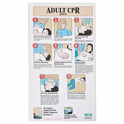 First Aid Poster 19-1/2 x 11In