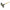 Council Tool Mcleod Tool, 6 Teeth, 9 X 48 In, Ash, 48 In (MT48 FSS)