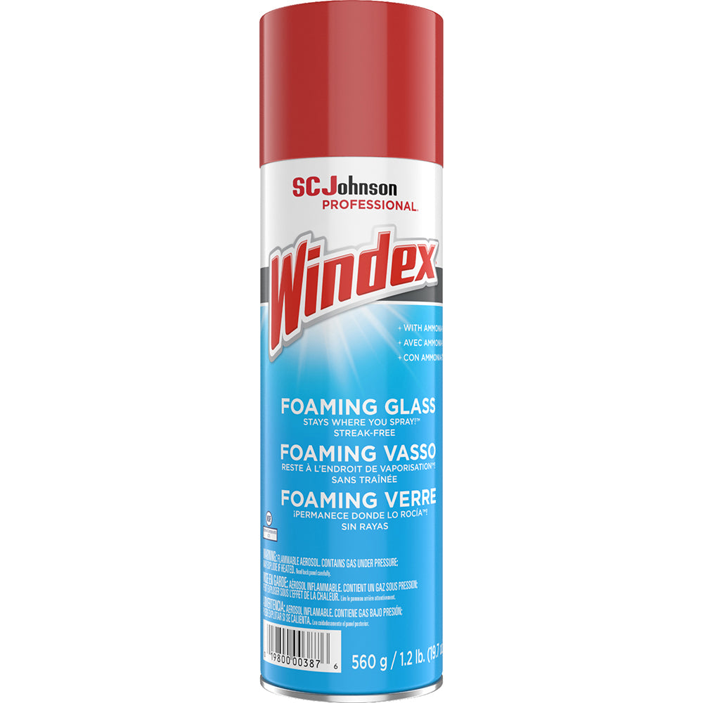 Windex All-Purpose Cleaner & Degreaser: 19.7 oz Can - 333813