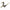 Hakko N3-13 Desoldering Pump Tips; Overall Length: 11.0 mm; Overall Length (mm): 11.0000; Inside Diameter (mm): 1.0000; Outside Diameter (mm): 2.2000; UNSPSC Code: 23271706