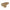 Parker Street Tee Brass 1/4 FNPT x MNPT x FNPT (4-4-4 ST-B)