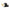 Hubbell Strt Plg, Blk; Wht, 15 A, Stnd, 6-15P (HBL5666C)