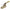 Parker- Fluid System Connectors Div Manual 2-Way Ball Valve, Npt, Brass (XVP501P-4)