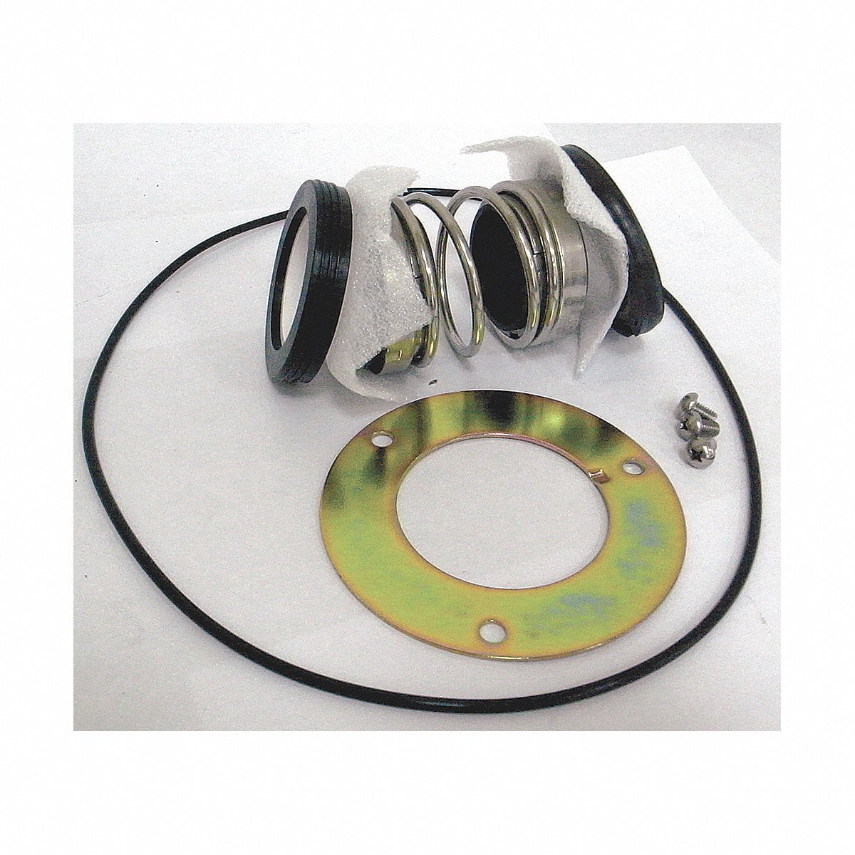 Dayton Mechanical Seal Repair Kit (PPHP51000219G)
