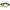 Pyramex Safety Goggles Nylon Amber Wraparound (GB1830ST)