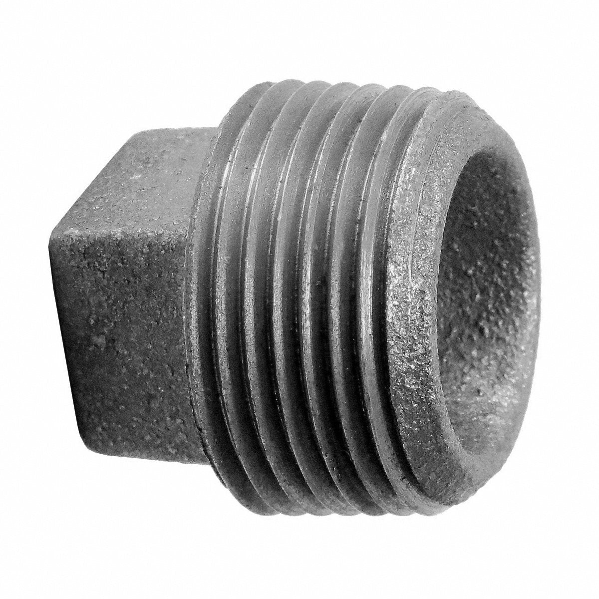 Anvil Square Head Plug, Malleable Iron, 1 In, 1 in (0318902442)