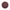 Norton Surface-Conditioning Disc 6 in Dia PK70 (66261007628)
