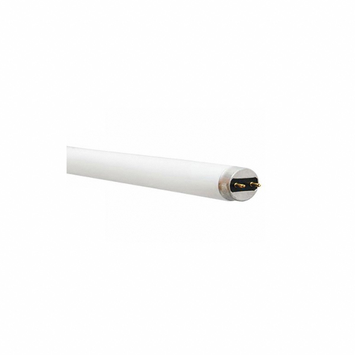 Ge Lamps Fluorescent, 32 W, T8, Medium Bi-Pin (G13) (F32T8/SPX50/ECO/CVG) Pack of 36