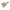 Safety Paste Brush Wood Fill Type Tampico (2FDJ7)