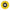 Arc Abrasives Flap Disc 4 in Dia 5/8 in Arbor 120 Grit (71-10807AF)