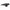 Lithonia Lighting Wall Pack, Led, 4000K, 2757 Lm, 26W (DSXW1 P3 40K 70CRI T3M MVOLT SRM DDBXD)