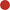 3M 7100100964 Fiber Disc: 2