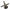 Tools Testing Kit Adapter, 3 G (TTAMR981A-3G)