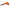 IFM Cordset, M12 5-Pin Right-Angle Female to Bare Wire, 5 m (EVC005)