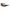 Honeywell Uvex Polarized Safety Glasses Espresso (S2949)