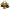 Dewalt Corded Sander, 3 A, 2.9Lb (DWE6421K)