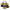 Dewalt Corded Sander, 3 A, 2.9 Lb (DWE6423K)