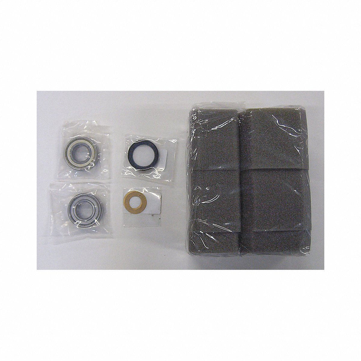 Fuji Electric Blower Rebuild Kit, For Models 4Z751 / 4Z752 (RCKIT400)