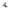 GE Thermal Unit, NEMA 3, 26.2–28 A (CR123F327B) - Pack of 3