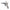 Guardair Pistol Grip Air Gun, Cast Aluminum (57S30XB)