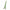 Little Giant Extension Ladder, 375 Lb Ld Cap., Iaa Type (17228)