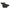 Dayton Trigger Westward (PN5ZL25004G)
