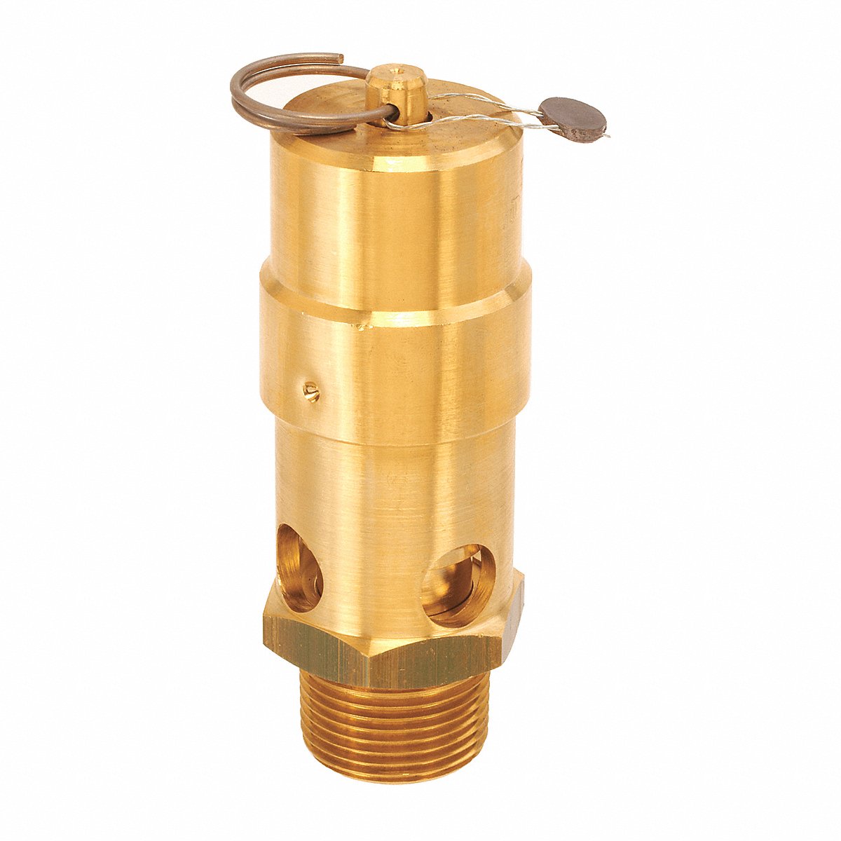 Control Devices Air Safety Valve 1 Inlet 175 psi (SW10-0A175)