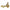 Watts Comb Fill Valve/Backflow Preventor, 1/2In, 2In (B911S-M3)