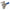 Blue Def Coupler Nylon 3/4
