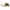 Master Lock Lever Lockset Polished Brss Strght Style (SLL0403BOX)