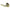 Master Lock Lever Lockset Polished Brss Strght Style (SLL0503BOX)
