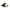 Hubbell Strt Plg, Blk; Wht, 15 A, Stnd, 5-15P (HBL5266C)