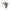 Plumbing Sprinkler Head 3/4 In MNPT Brass (4NDP8)