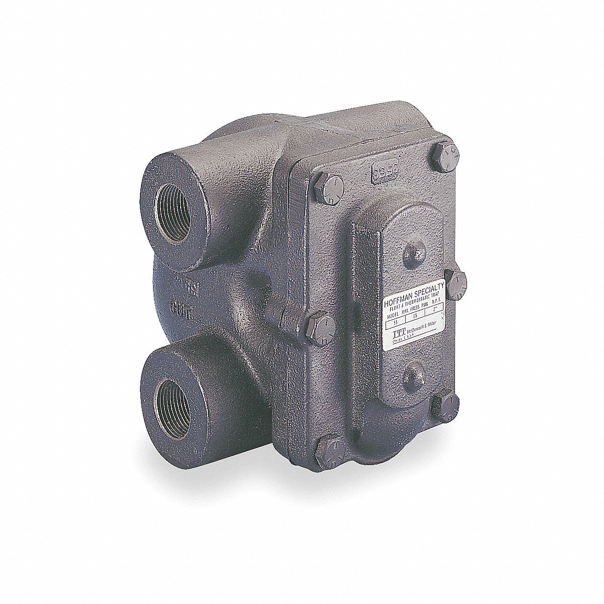 Bell & Gossett Steam Trap, Cast Iron, 15 Psi, 3/4 In, 4 IN (FT015H-3)