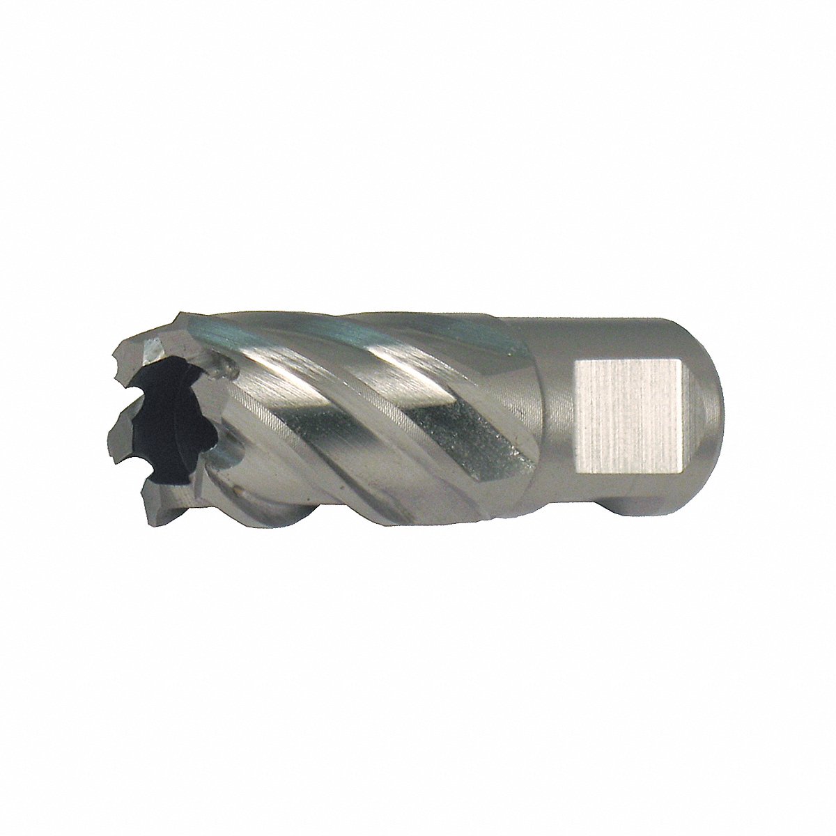 Fein Power Tools, Inc. Annular Cutter, 1In, Hss, 1in (4TGZ9)