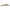 Watts Double Check Valve, Series 719, 1 in FNPT (LF719-QT-S)