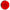 Grote Stop/Turn/Tail Light Round Red (53422)