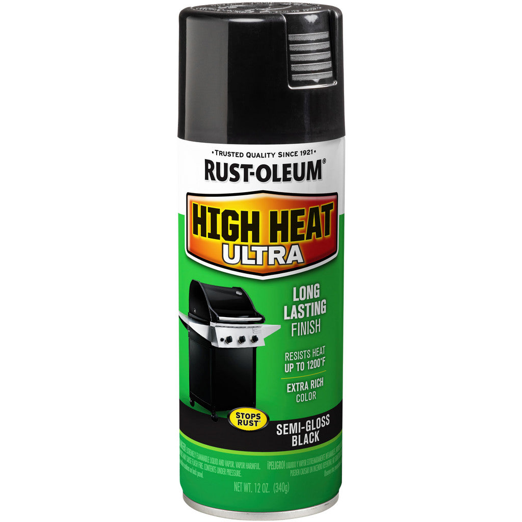 Rust-Oleum 241169 Spray Paint: