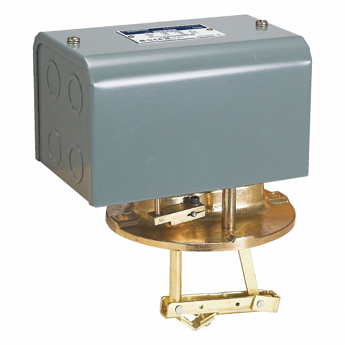 Telemecanique Sensors Alternatrclosedliquidlvlswtch, Steel, 575V (9038DG8)
