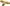 Parker 145F-4-2 Brass Flared Tube Male Branch Tee: 1/4