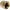 Parker 61P-4 Compression Tube Nut and Sleeve Assembly: 1/4