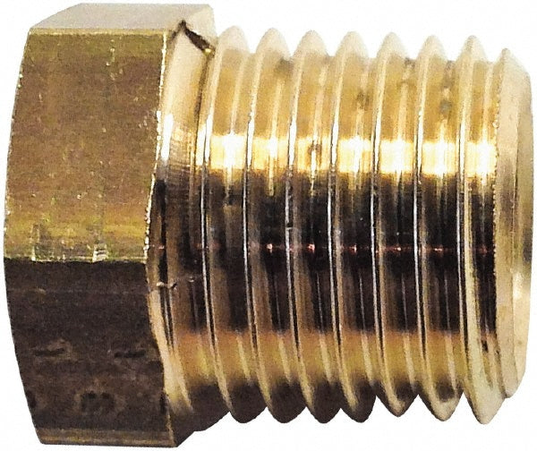 Legris 0163 13 10 Industrial Pipe Bushing: 1/8" Female Thread, 1/4" Male Thread, MBSPT x FBSPP