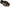 Legris 3116 06 00 Push-To-Connect Tube to Tube Tube Fitting: Bulkhead Union