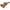 Woodford MFG. Frost Proof Silcock Anti-Siphon 12 In. (19CP-12)
