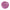 Honeywell North Filter, Magenta, Threaded, Pk144 (7580P100)