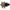 Chicago Faucets Tempering Valve (131-ABNF)
