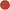 Norton 66261058704 Fiber Disc: 2